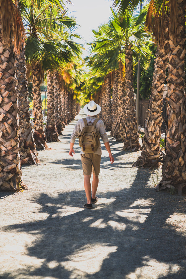 Outdoor Walking (1 Hour)